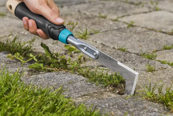 Hand entfernt Unkraut mit Fugenkratzer